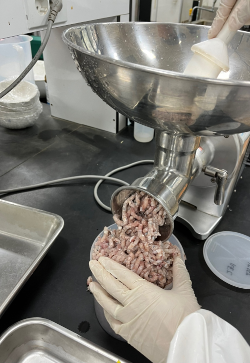 수산물 방사능 분석 모습. 경주시 제공