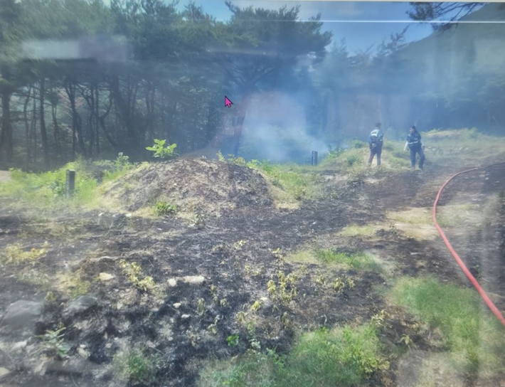 경주 안강 산불 현장. 경북소방본부 제공