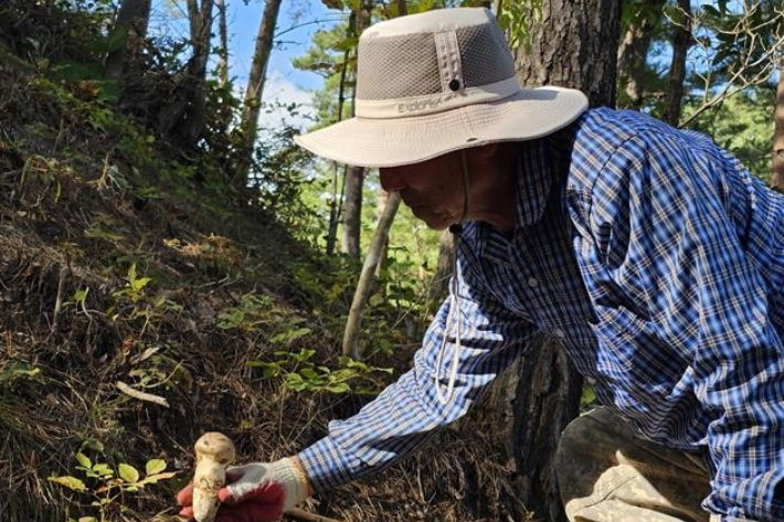 농림축산식품부 제공