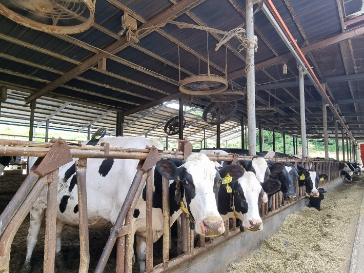 가축 축사. 경남도청 제공 