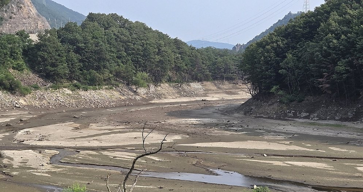 강원 동해안에 가뭄이 지속돼 피해가 우려되는 가운데 7일 강릉시민 식수원인 오봉저수지 상류가 바닥을 드러내고 있다. 연합뉴스