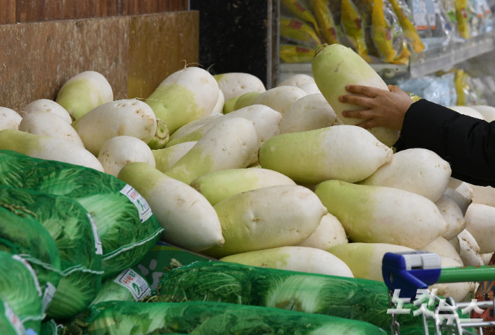 서울 한 대형마트 채소 코너의 모습. 박종민 기자