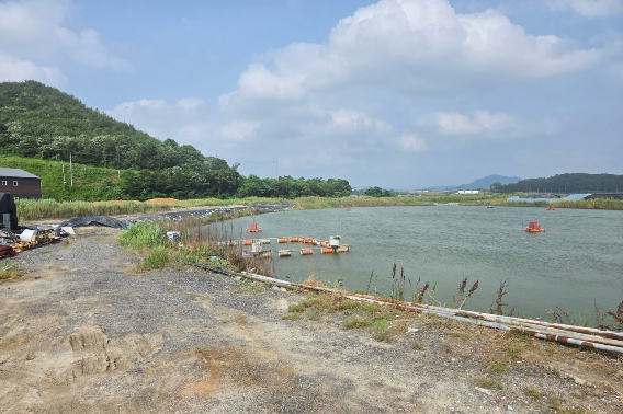 고창군이 폭염 속 양식장 피해 예방을 위한 예찰을 강화한다. 고창군 제공