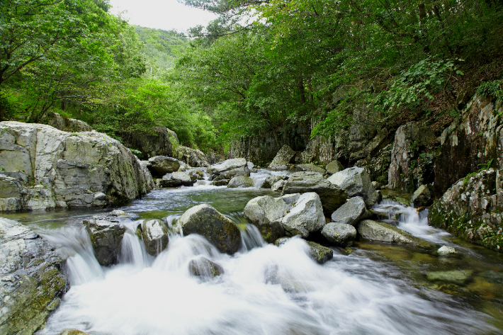 양산 내원사 계곡. 경남도청 제공 