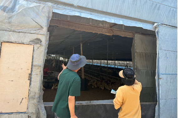 고창군이 폭염 속 축산농가 점검에 나서고 있다. 고창군 제공