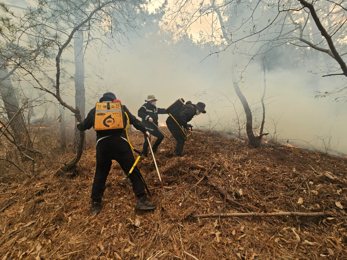 지난 3월 발생한 경북 대형 산불이 영덕으로까지 확산하면서 막대한 산림피해로 송이생산 터전이 사라졌다. 독자 제공