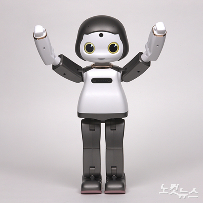 AI 소셜로봇. 조달청 제공