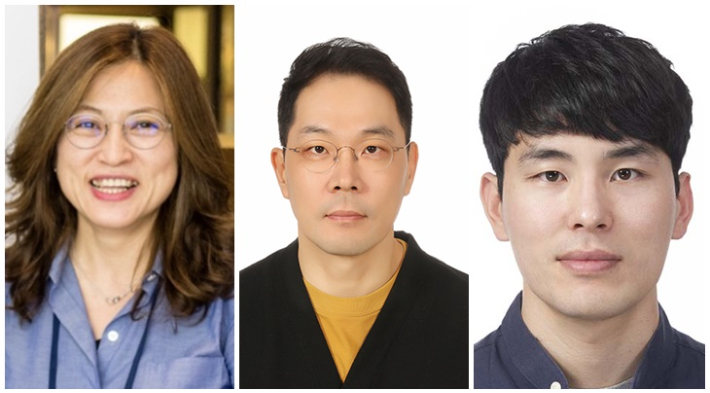 왼쪽부터 진희경 교수, 배재성 교수, 최병조 박사. 경북대 제공