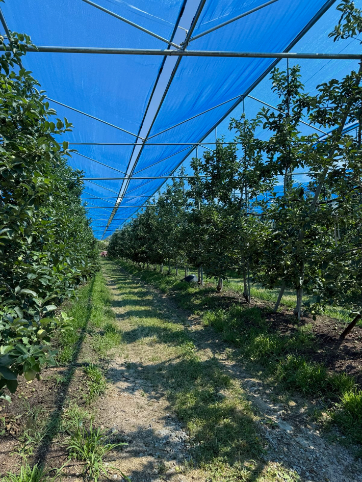 재해예방시설- 차광망 설치 모습. 전라남도 제공