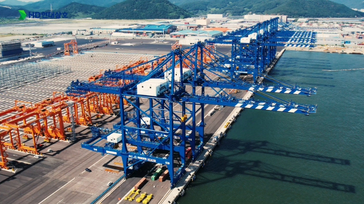 부산 신항에 설치된 더블 트롤리 안벽 크레인(DTQC, Double Trolley Quay Crane). HD현대삼호 제공 