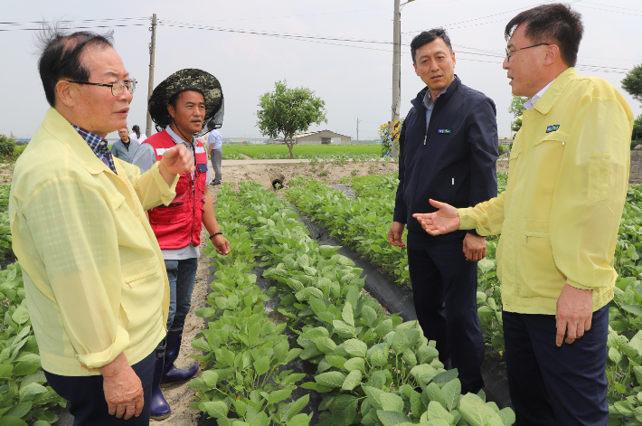 충남세종농협 제공