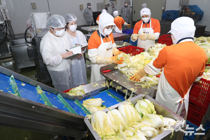 조달청 국방물자구매과 직원들이 15일 군급식 납품 제조기업 한울을 찾아 김치 공정 과정을 점검하고 있다. 정세영 기자
