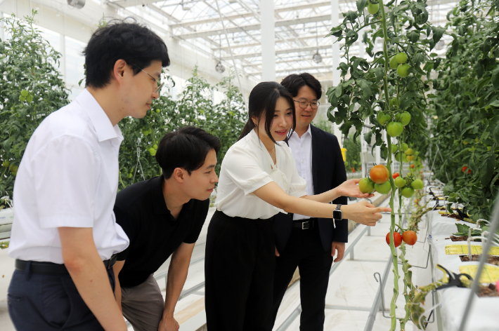 기계연 미래농생명공학연구단 및 무탄소발전연구실 연구팀(왼쪽부터 김영상 책임연구원, 박진영 선임연구원, 박혜리 인턴, 이상민 단장)이 작물 성장을 살펴보고 있다. 기계연 제공