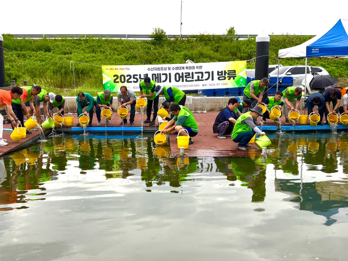 메기 어린고기 방류. 경남도청 제공 