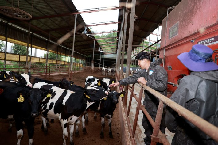 김철우 군수가 폭염 피해 예방을 위해 축산농가를 방문했다. 보성군 제공