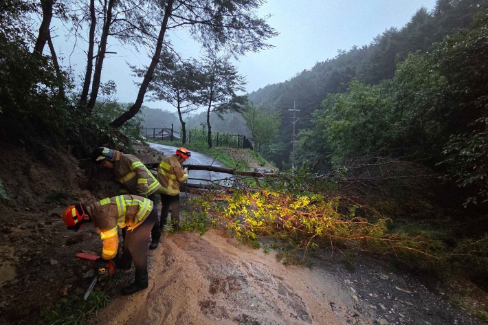 강원 원주 신림면 낙석 사고 현장. 강원소방본부 제공