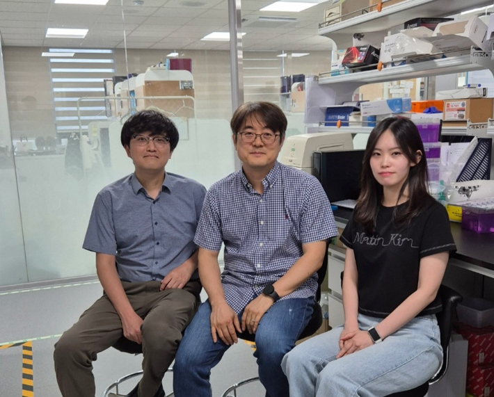 KAIST, 술 때문에 생기는 간염 유발 원리 최초로 밝혔다