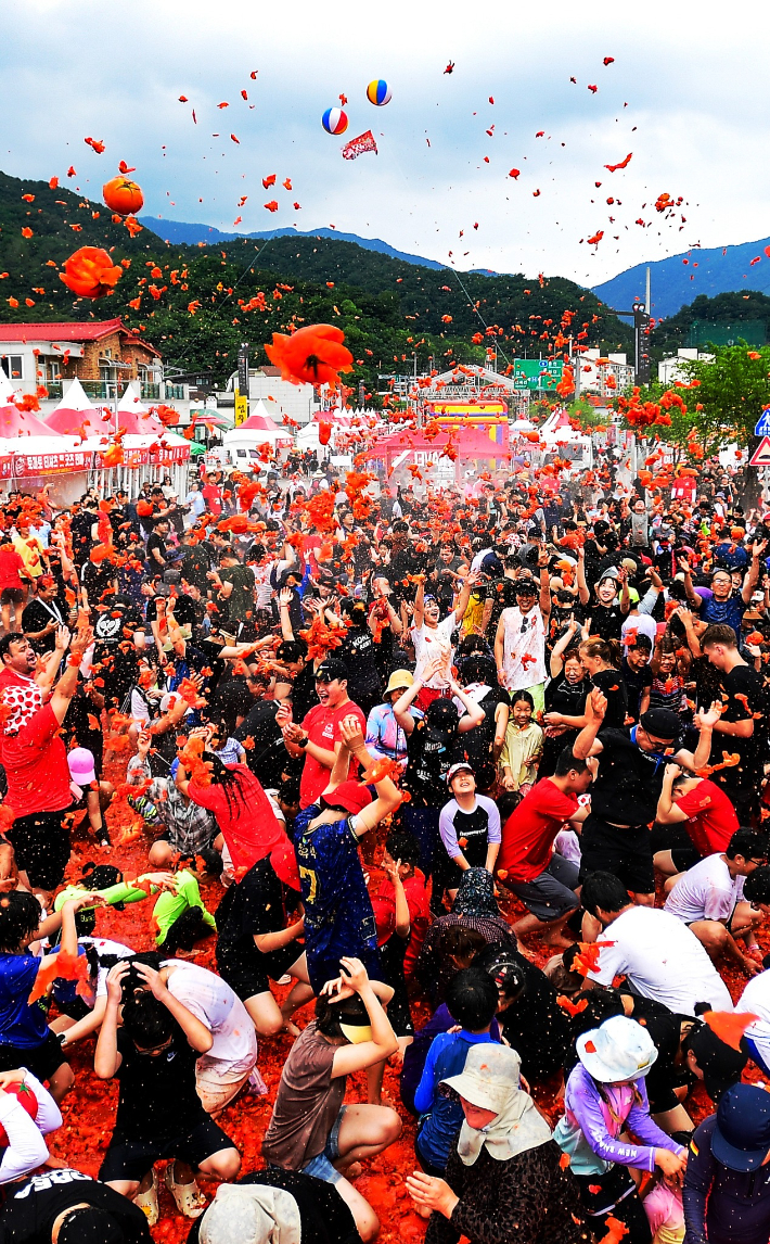 지난 2024년 화천 토마토 축제. 화천군 제공