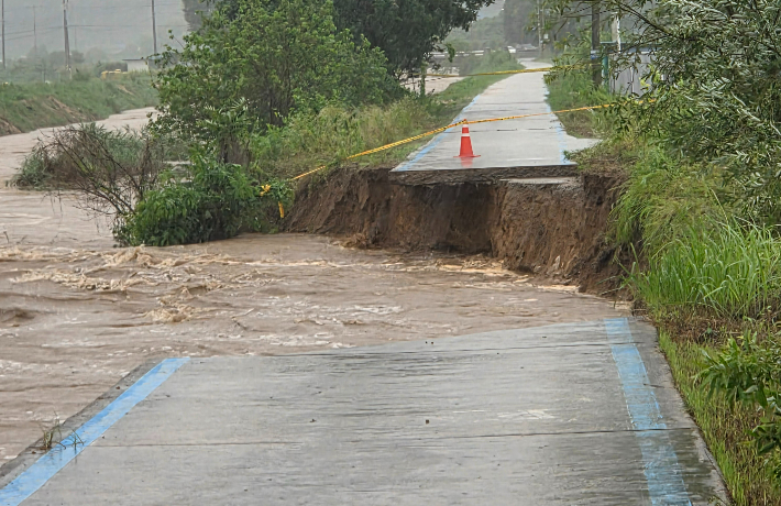 충북소방본부 제공 