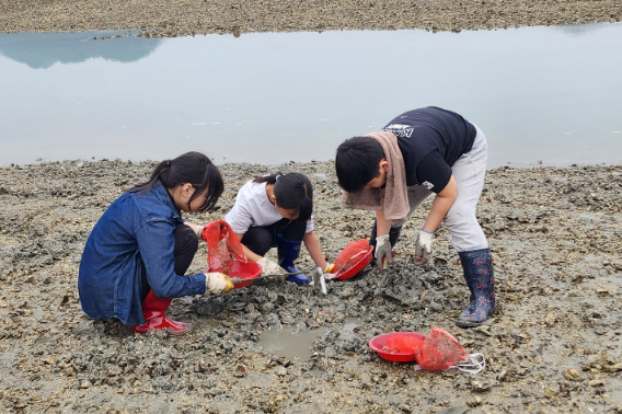 농촌체험휴양마을 갯벌체험. 전라남도 제공