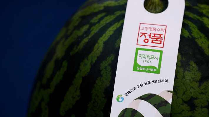 지리적표시 등록 농산물 고창수박. 노컷TV 캡처