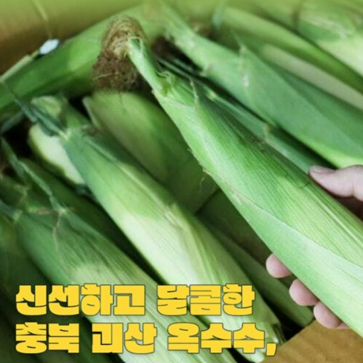 중소기업중앙회 충북지역본부 제공