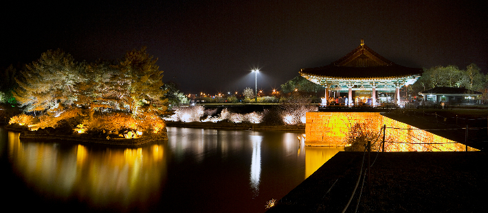 동궁과 월지 야경. 경주시 제공