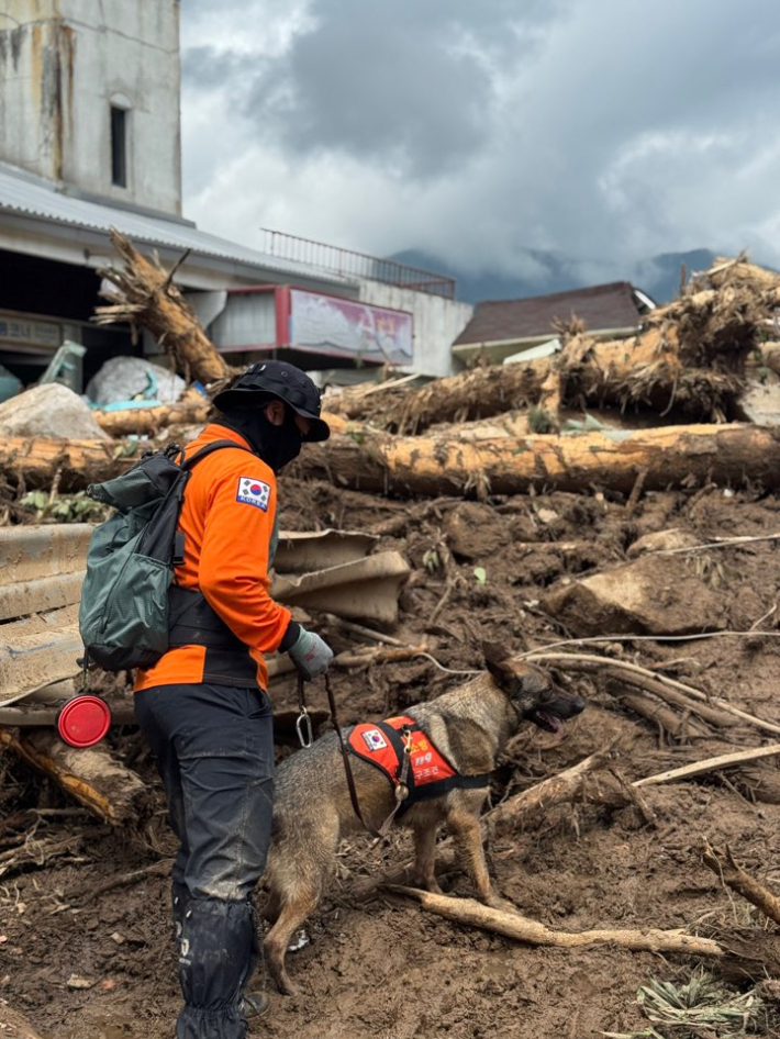 실종자 수색. 경남도청 제공 