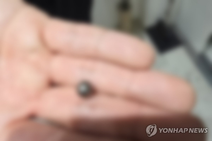 사제총기 살해 사건에 쓰인 탄환 (인천경찰청 제공)