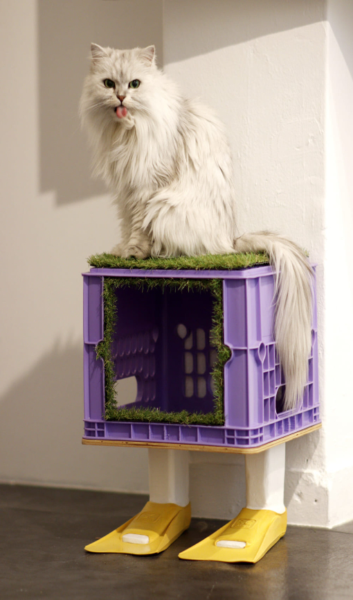 이준영 작가의 방공호, 나무, 우유박스, 오리발, 인조잔디. 대전신세계갤러리 제공