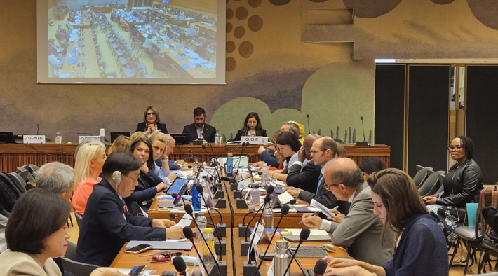광주광역시는 22일(현지시간) 스위스 제네바 유엔 사무국에서 열린 국제인권회의에 공식 대표단을 파견, 인권도시의 정책 경험을 세계 지방정부 및 국제기구와 공유했다. 광주시 제공