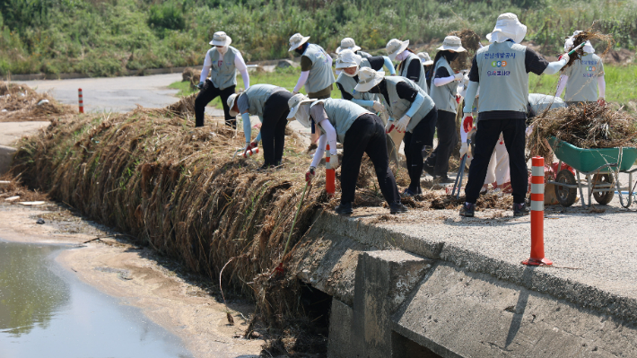 전남개발공사 임직원으로 구성된 으쓱(ESG) 봉사단 20여 명이 24일 집중호우로 큰 피해를 본 함평군 함평천 일원 수변공원을 찾아 수해 복구 봉사활동을 펼쳤다. 전남개발공사 제공