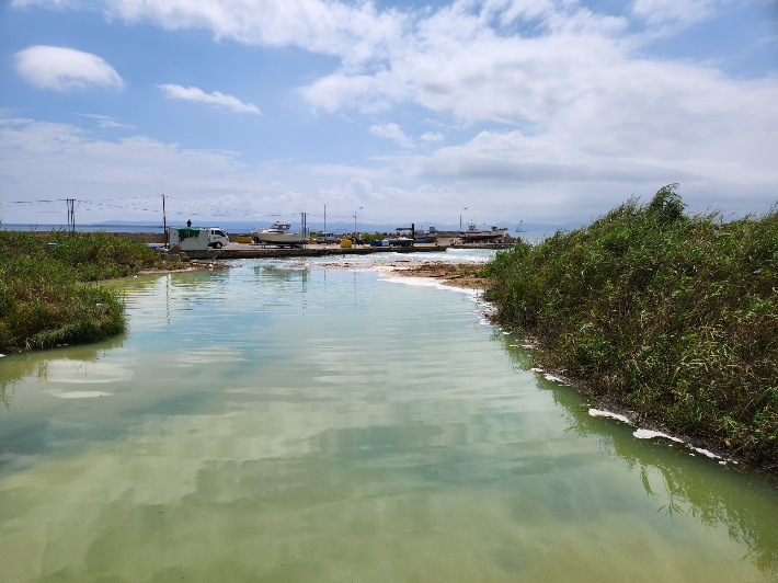포항시 북구 흥해읍 죽천리 해안가 일대에서 발생한 흰색 거품 현상. 독자제공