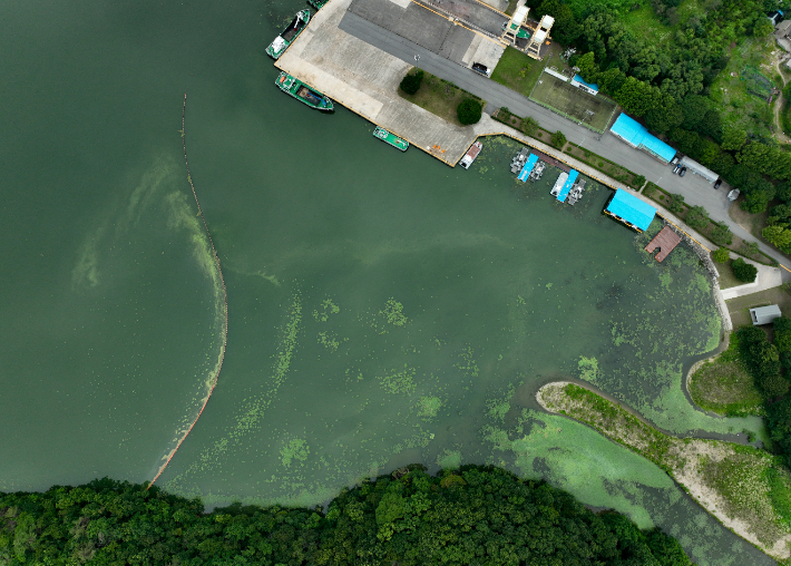 경기도 광주시 남종면 팔당호 일대가 녹조로 인해 초록빛을 띄고 있다. 연합뉴스