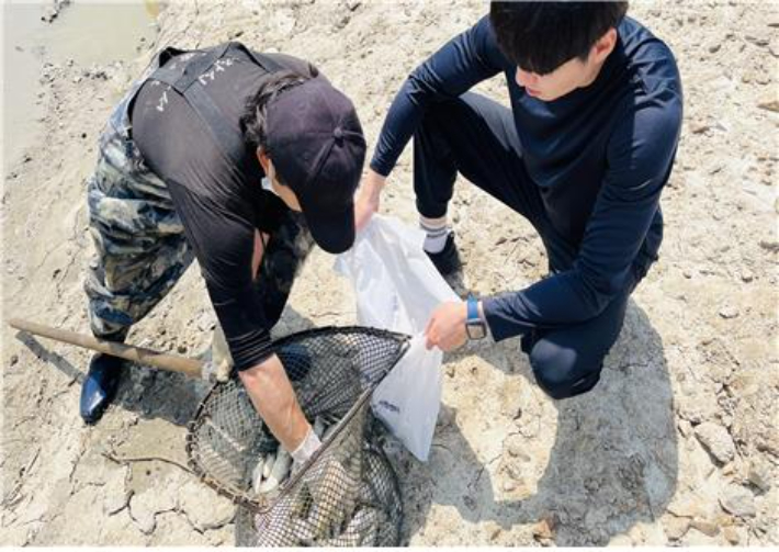 수산물 시료 채취. 인천시 제공