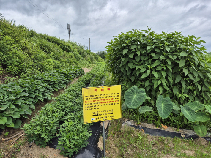 광주광역시가 여름철 집중호우로 인한 시민 안전 우려와 하천 공공성 훼손 문제에 대응하기 위해 하천·계곡 내 불법 점용시설에 대한 대대적인 정비에 나섰다. 광주시 제공