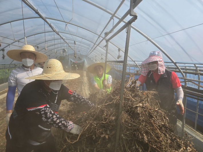 농협중앙회 천안시지부 제공