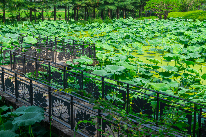 안성 서일농원. 경기관광공사 제공