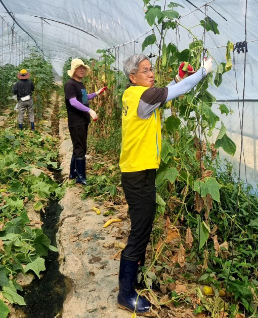 권영국 정의당 대표(오른쪽)와 관계자들이 수해 피해를 입은 충남 서산 농가를 방문해 봉사활동을 벌이고 있다. 정의당충남도당 제공