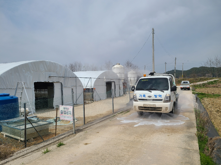 광주광역시 보건환경연구원은 여름철 기상이변으로 인한 축산농가 피해를 최소화하기 위해 '동물의료지원반'을 운영하고 있다. 광주시 제공