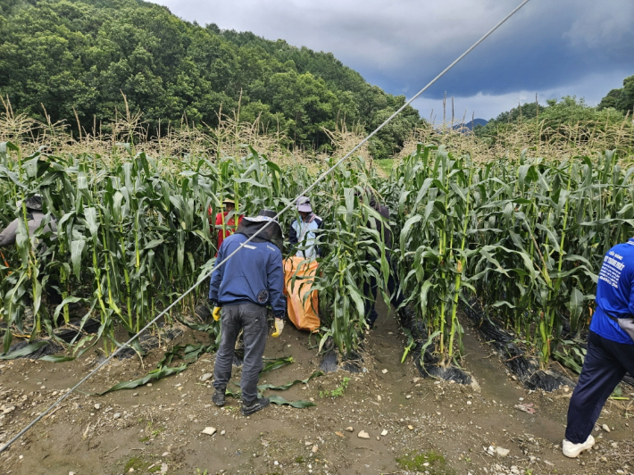 폭염대응 농작업장 점검. 고흥군 제공