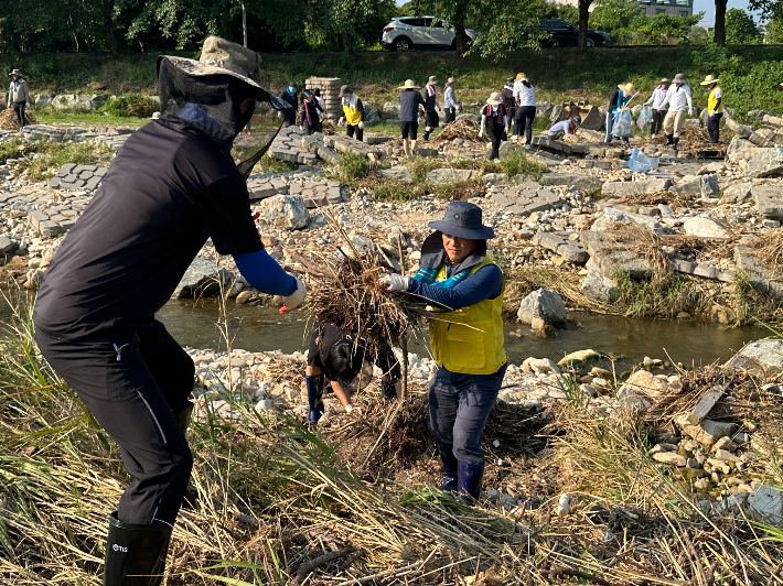 대전국세청 제공
