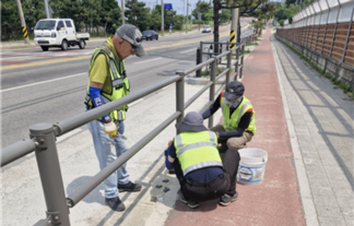 동해시 현장대응팀. 동해시 제공