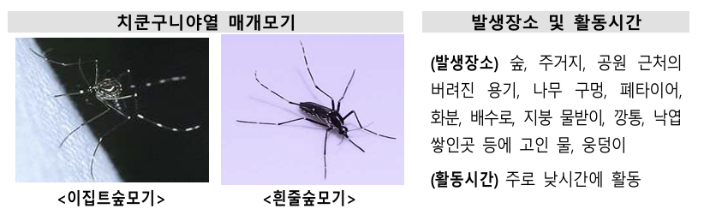 질병관리청 제공