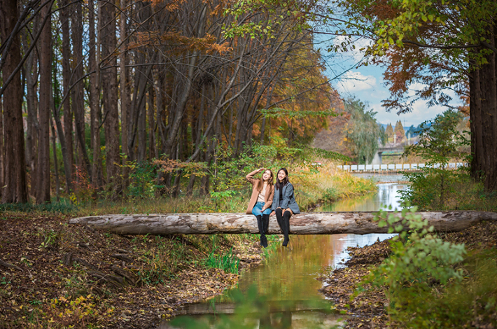 경북천년숲정원. 경주시 제공