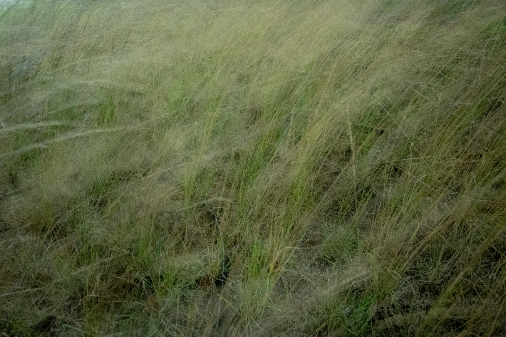 사진작가 이윤성 제공