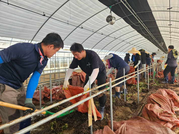 울진군 공무원노동조합을 비롯한 군청 직원 30여 명이 집중호우로 큰 피해를 입은 충청남도 예산군 삽교읍 농가를 찾아 비닐하우스 등 침수 피해 복구에 힘을 보탰다. 울진군 제공