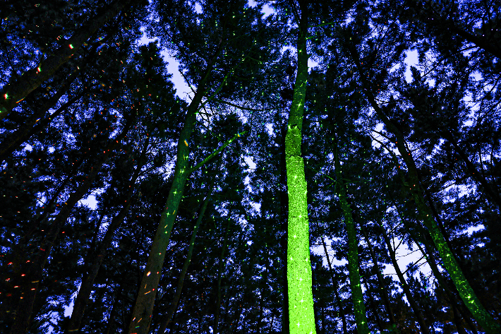 월송정 맨발걷기 길에 조성한 반딧불이를 형상화 한 조명. 울진군 제공 