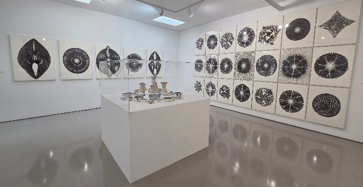 프랑스를 기반으로 서울울 오가며 활동 중인 남궁환(50) 작가가 서울 종로구 삼청로 아트파크에서 열고 있는 13년 만의 국내 개인전 'Entoptima: 별의 기억' 전시 전경. 곽인숙 기자