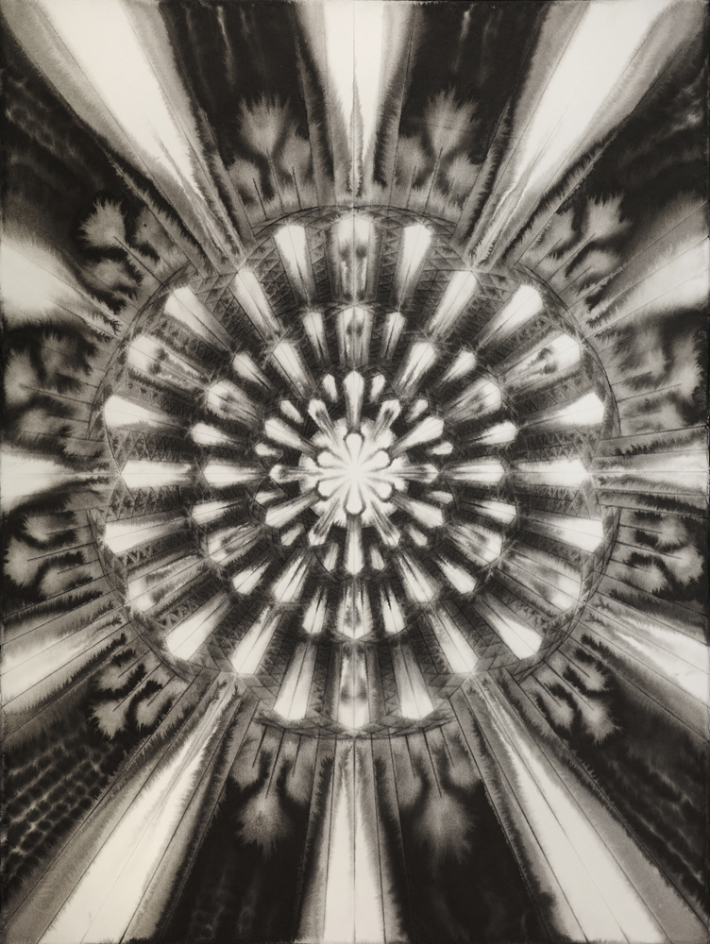 남궁환, '003)Entoptima', 종이 위에 먹, 76x56cm(2019). 아트파크 제공